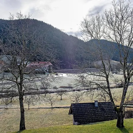 Apartamento Schüsselehof *