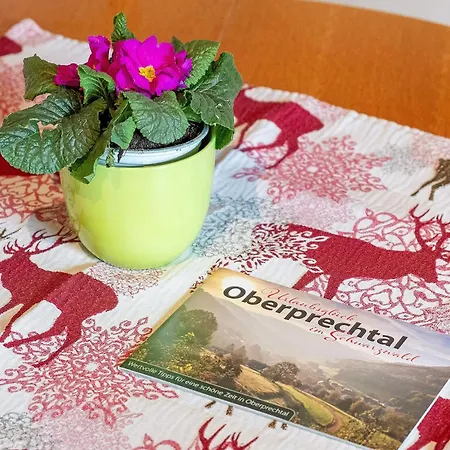 Apartamento Schüsselehof Elzach